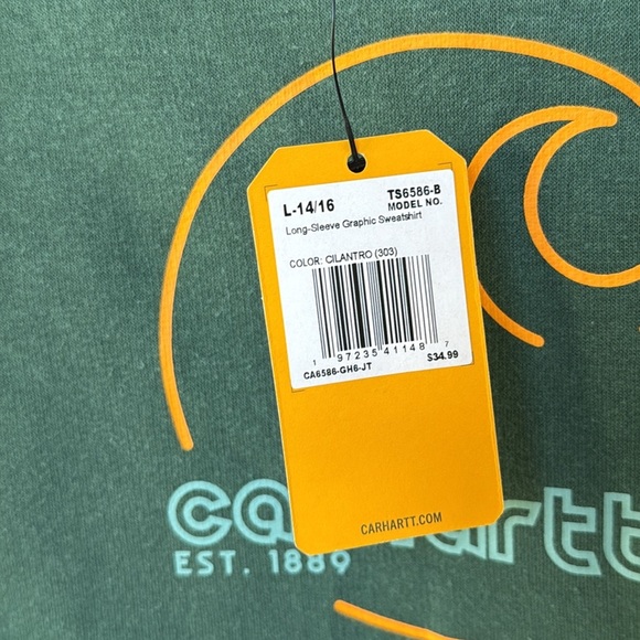 CARHARTT KIDS YOUTH LONG SLEEVE GRAPHIC Hooded SWEATSHIRT Green size Large 14/16 - Picture 5 of 7